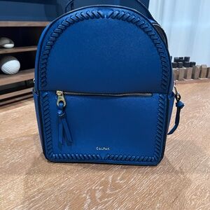 Calpak Blue Backpack with Sleek Design and Durable Material